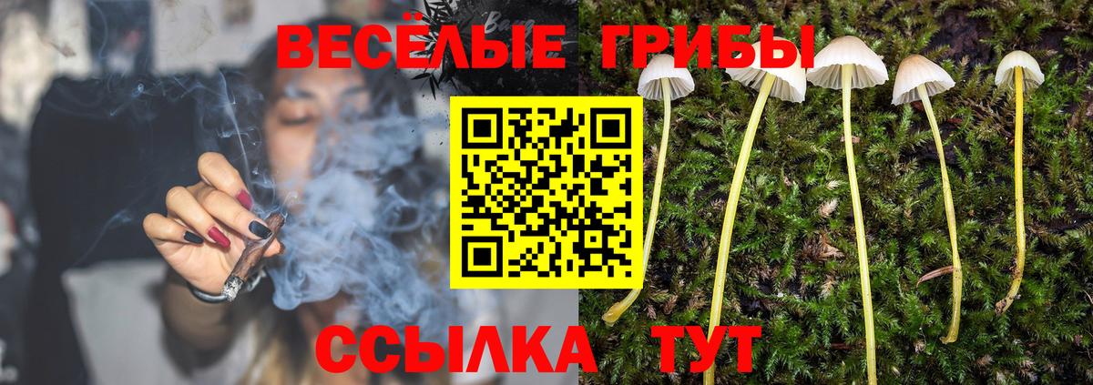 Псилоцибиновые грибы Psilocybe  Псилоцибиновые грибы ЛСД  Псков  Вход с VPN 